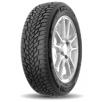 Petlas SNOWMASTER 2 195/55R15 85H