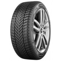 Dunlop WINTER 205/55R16 91H