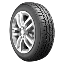Roadx RXFROST WH01 205/65R15 94H